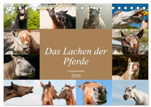 Das Lachen der Pferde - Lustige Gesichter (Tischkalender 2026 DIN A5 quer), CALVENDO Monatskalender: Pferdeporträts die Spaß bereiten (CALVENDO Tiere)