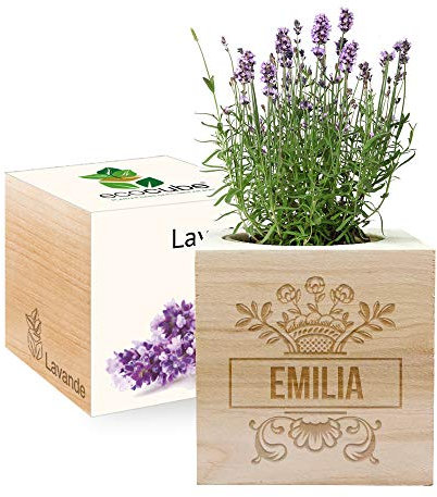 Ecocube gravé d'un prénom (Lavande)
