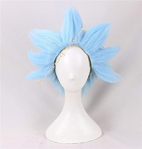 Rick Und Morty Cosplay Rick Sanchez Blaue Kurze Perücken Rollenspiel Synthetisches Haar + Perückenkappe
