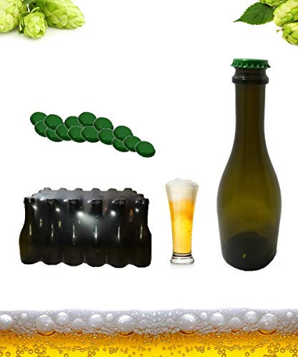 Generico Bottiglia Birra Friz cl 33 Colore Verde Scuro venduta in pacchi da 24 Pezzi Completa di Tappo Corona Eclissi Diametro 29