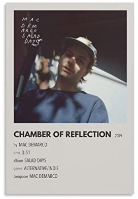 Sänger-Poster, Mac Demarco, prägnantes Poster, Foto, Kunst, Malerei, Leinwand, Poster, Zuhause, moderne Dekoration, Poster, 20 x 30 cm