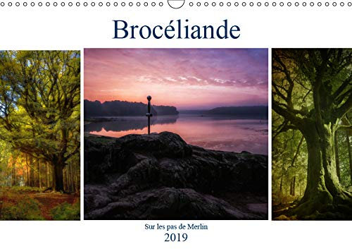 BROCELIANDE, sur les pas de Merlin (Calendrier mural 2019 DIN A3 horizontal): Brocéliande, sa magie, ses légendes, le roi Arthur, ses chevaliers et Merlin l'enchanteur (Calendrier mensuel, 14 Pages )
