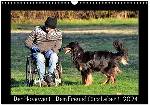 Der Hovawart... Dein Freund fürs Leben ! (Wandkalender 2024 DIN A3 quer), CALVENDO Monatskalender: Wandkalender, Monatskalender, 14 Seiten (CALVENDO Tiere)