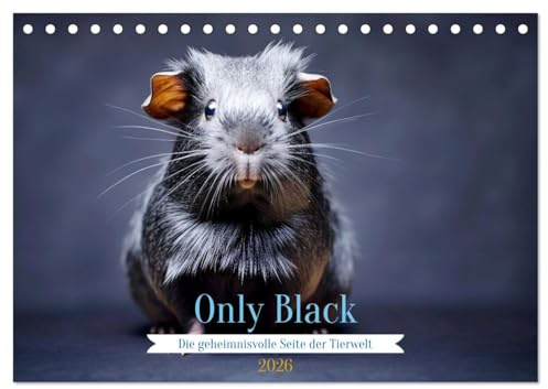Only Black (Tischkalender 2026 DIN A5 quer), CALVENDO Monatskalender: Die geheimnisvolle Seite der Tierwelt (CALVENDO Tiere)