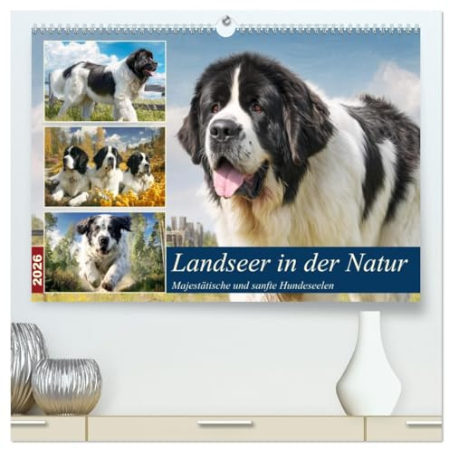 Landseer in der Natur. Majestätische und sanfte Hundeseelen (hochwertiger Premium Wandkalender 2026 DIN A2 quer), Kunstdruck in Hochglanz: In diesen ... Stärke und sanfte Würde (CALVENDO Tiere)