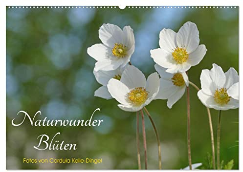 Naturwunder Blüten (Wandkalender 2026 DIN A2 quer), CALVENDO Monatskalender: Die wunderbare Welt der Blüten in faszinierenden Fotos (CALVENDO Natur)