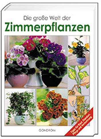 Die grosse Welt der Zimmerpflanzen