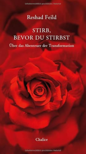 Stirb, bevor du stirbst: Über das Abenteuer der Transformation