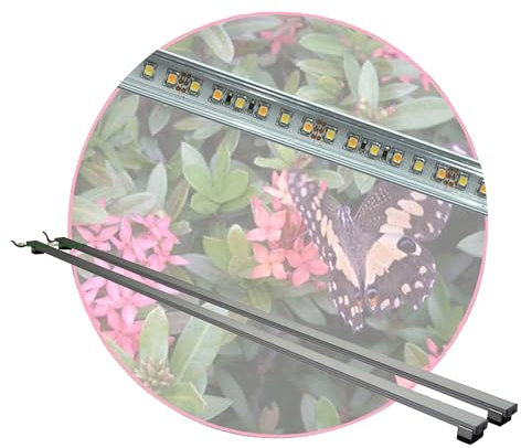 AQUARIUM-PLÜDERHAUSEN Regenwald Terrarium, Set2: 2x LED-Beleuchtung 40 cm + Zubehör, LED Leuchtbalken,LED Tropen Pflanzenlicht