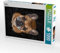 CALVENDO Puzzle Peanut 1000 Teile Lege-Größe 48 x 64 cm Foto-Puzzle Bild von Silke Gareis