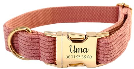 Collier Chien Personnalisé Velours Côtelé (S, Rose)