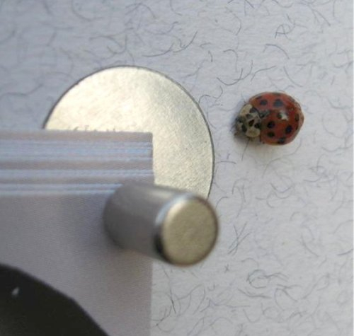 Mini-Magnet-Pinnwand: Die kleinste + stärkste der Welt!