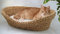 Lycce Katzenbett Hundebett für kleine Hunde | Kissen waschbar bei 30° | ovale Form mit hohem Rand | Wasserhyazinthe | Betten, Decken & Möbel für Katzen | Gr. 1 (53 x 40 x 14 cm)