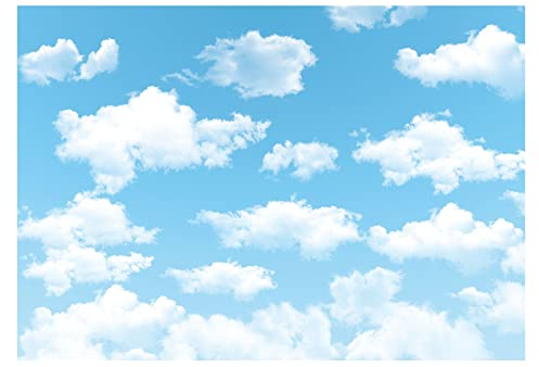 Allenjoy 7X5Ft Stoff Blau Himmel Wolke Hintergrund für Neugeborenes Frühling Portrait Fotografie Bilder Kids Kinder World Travel Aviator-Geburtstags-Party Décor 7'x5' Econ Polyester Blauer Himmel