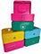 Geldkassette Geldkasse 20 cm abschließbar Geldbox Dokumentenkassette Schatulle in, Farbe: pink