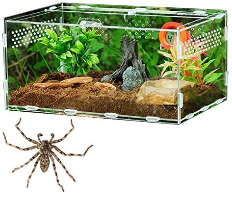 Rianpesn Reptilien-Terrarium | Schlangenfütterungs-Zuchtbox transparentes Tarantel-Gehegehaus,Vogelspinnen-Lebensraumbox aus Acryl, groß, für Kleintiere, Insekten, Heimbüro