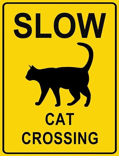 Cartello di attraversamento del gatto, segnale di rallentamento, cartello stradale con gatto, divertente cartello in alluminio, 30 x 40 cm, cartello in alluminio per fattoria biologica, cortile,