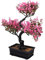DECHOUS Künstlichen Bonsai-Baum Desktop Realistische Topfpflanze für Wohnzimmer Büro Dekoration Tisch Gefälschte Grüne Pflanze Bonsai Fake Blumen für Home Deco Ästhetisch