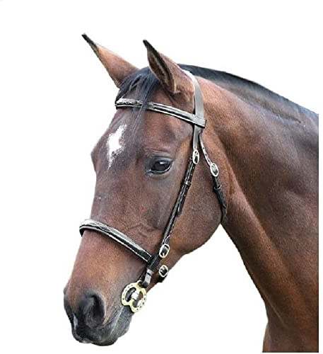Shires Blenheim Fancy Stitched Inhand Bridle-Black Pony