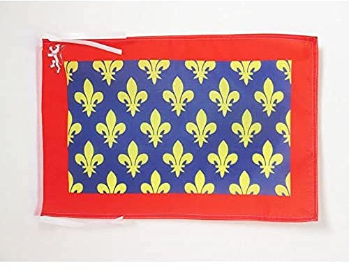 AZ FLAG - Flagge Département Sarthe - 45x30 cm Mit Kordel - Sarthe Fahne 30 x 45 Cm - Flaggen