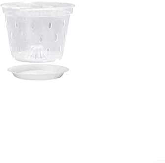 QOXEZY Paquete de 1/5 macetas de plástico, macetas de orquídeas transparentes de 5.5 pulgadas con agujeros de drenaje y platillos ranurados para interiores y exteriores, oficina, balcón