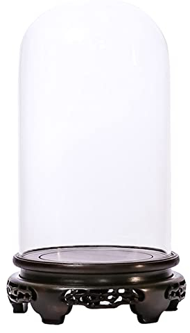 Cloche en verre de dôme de rehausseur de pot de plante de jardin avec la base de vase en bois présentoir décoratif pour les objets de collection Cloche Terrarium support de plante de jardin présentoir