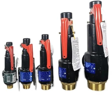 PVTLCYBI 1pcs Pressure Release Valve for Air Compressor Screw Machine boiler A27W-10T(1 Mpa)