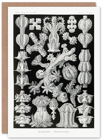 Artery8 Ernst Haeckel Art Card Gorgonida Vintage Coral Illustration