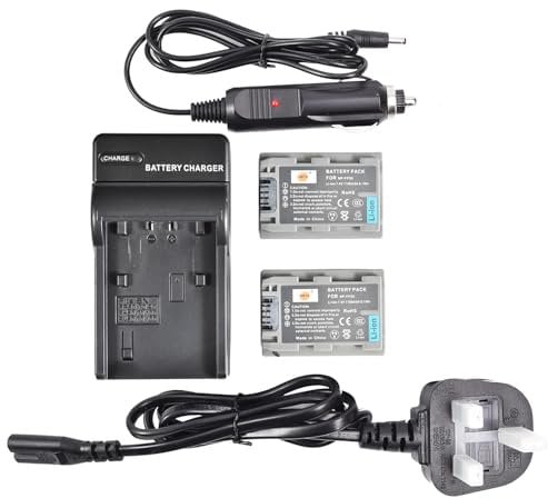 DSTE 2pcs NP-FP50 Rechargeable Li-ion Battery + Charger DC04U for Sony NP-FP50, NP-FP30 and Sony DCR-DVD103, DCR-DVD105, DCR-DVD203, DCR-DVD205, DCR-DVD305, DCR-DVD92, DCR-HC20