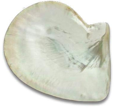 Mother of Pearl Caviar Plate - 5.5 inch - 14 cm - Hand Crafted