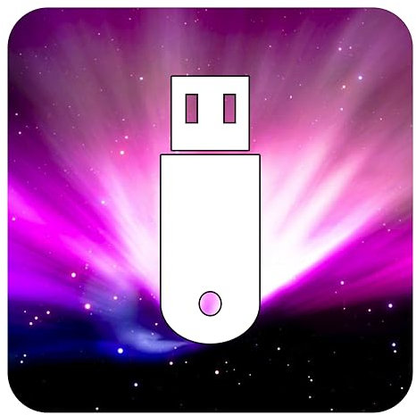 D-S Systems Clé d’Installation Compatible avec OS X 10.6 Snow Leopard USB OS X (Clé) d'installation Amorçable Récupération Bootable - Installation/Update/Downgrade