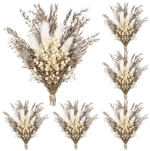 Lot de 6 mini bouquets de fleurs séchées avec herbe de la pampa, corsages bohèmes de 10,2 cm pour mariage, fête et loisirs créatifs