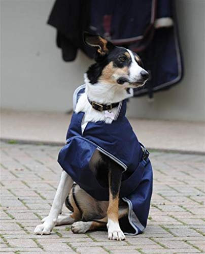 Bucas Freedom Dog Rug 300g, Navy/Silver (65)