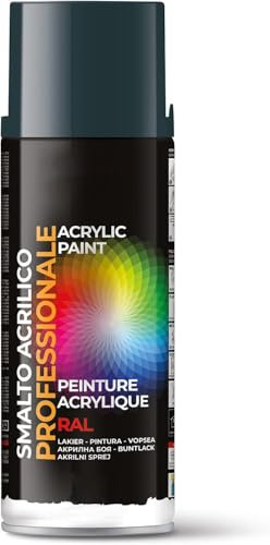 AERREGI Bomboletta di Vernice Spray Acrilica in diversi Colori Ral (RAL 7016 GRIGIO ANTRACITE OPACO)