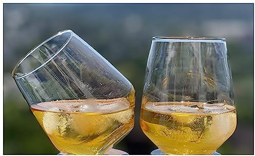 Topkapi McDalford Lot de 2 verres à whisky avec effet circulaire pour whisky, cocktail, jus, eau, boissons, H ~ 10,6 cm, V ~ 420 ml