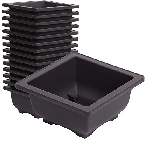 KINJOEK 15 macetas cuadradas pequeñas de plástico de 4.7 pulgadas con agujero de drenaje, macetas de árbol bonsái suculentas para jardín, interior, decoración del hogar