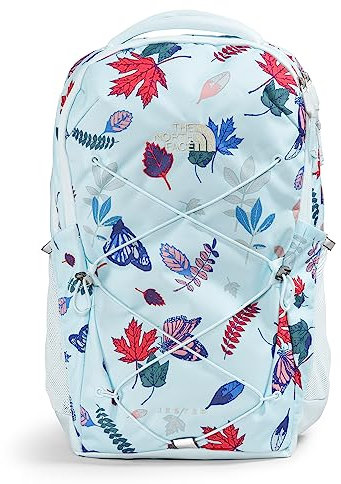 THE NORTH FACE Jester Everyday Laptop Backpack - PFAS Free, Icecap Blue Fall Wanderer Print/Icecap Blue/Gravel, One Size, Classic