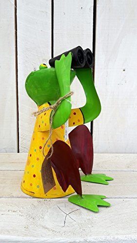 Gwenys Haus Frosch Zaunhocker Bunt Fernglas