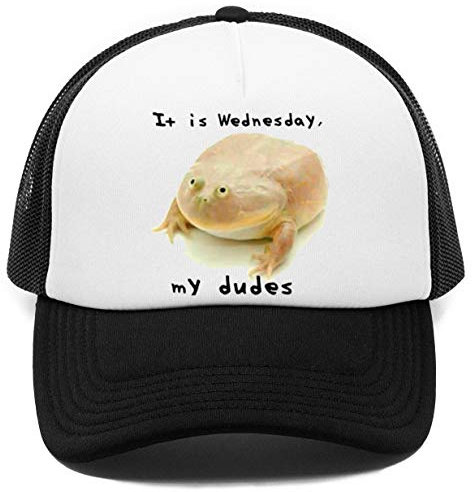 It is Wednesday My Dudes Kappe Baseball Rapper Cap