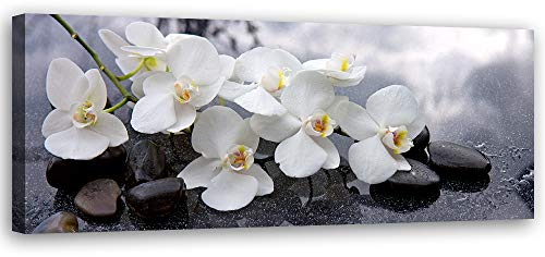 Feeby Bild auf Leinwand Orchideen Kunstdruck modern Steine Grau 90x30 cm