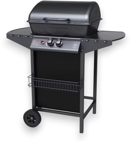 Barbecue a gas 2 fuochi con pietra lavica per esterno -