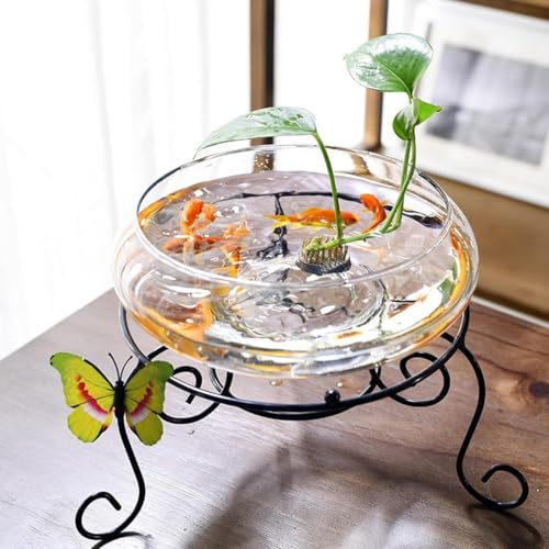 Lotus Schüssel Pflanzer, Runde Lotus Blume Schüssel, Klare Wasser Lilie Schüssel, Pflanzen im Wasser drinnen, für Blume Succulent Hydroponic Pflanze Fisch Home Decor Ohne Halterung (Mittel (7.09in))
