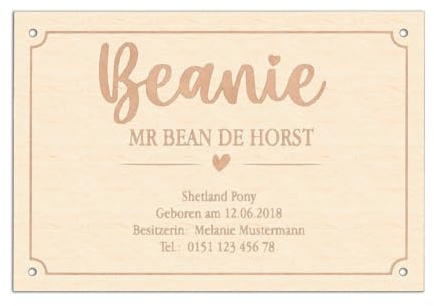 Boxenschild für Pferde - Personalisiert mit Wunschtext, 3 Formen, 8 Motive - Birke Multiplex oder Acryl MaterialType1 Holz, Farbe Form-1