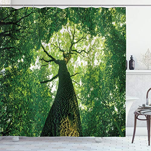 ABAKUHAUS Natur Duschvorhang, Blätter Baum-Zweig, Stoffliches Gewebe Badezimmerdekorationsset mit Haken, 175 x 240 cm, Grün Hellgrün Braun