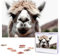 Lustige Alpaka Lama Puzzles 1000 Teile Personalisierte Puzzles Fotos Puzzle für Familie Bild Puzzle für Erwachsene Hochzeit Geburtstag (74,9 x 50 cm)