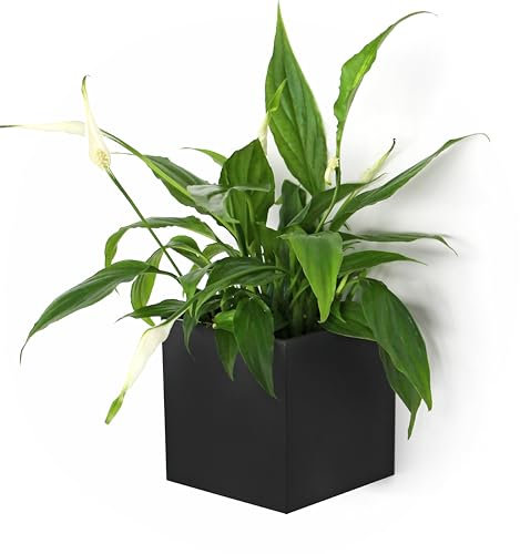 KalaMitica - Cubo Magnetico “Kosmos”, Contenitore Portaoggetti per Lavagna Magnetica e altre Superfici Metalliche - Nero Laccato con Finitura Opaca - 9,5 x 9,5 x 9,8 cm