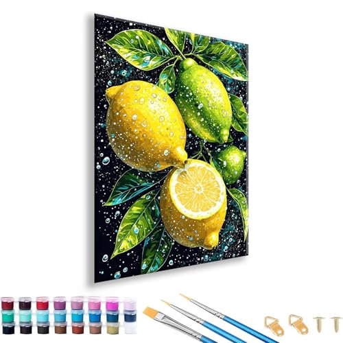Peinture Numero Adulte Citron Peinture par Numero Adulte Fruit, DIY Paint by Numbers Kits avec Pinceaux et Peintures Acryliques, Paint by Numbers par Décoration Murale, Sans Cadre 30 x 40 cm O-0