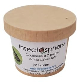 Larves de coccinelle à 2 points contre les pucerons des arbres frutiers & ornementaux, pucerons des rosiers et autres arbustes. (50 Larves)