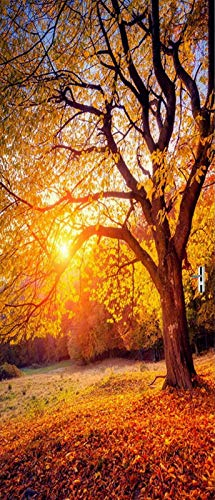 A.Monamour Türtapete Selbstklebend Türfolie Türposter 3D Herbst Buche Gefallen Goldgelb Blätter Natur Sonnenuntergang Vinyl Folie Türdeko Tapete Wandbild Türaufkleber Türtattoo 77 x 200 cm