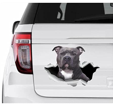 OGJFLT Auto Sticker Autoaufkleber Lustig Dog 2Pcs 15Cm Blue Nose Pitbull Pitbull Aufkleber Autoaufkleber Blue Nose Pitbull Hundeaufkleber Pitbull Mama Aufkleber American Staffordshire